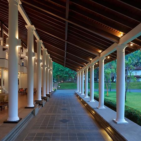 Cinnamon Lodge Habarana Sigiriya Exteriör bild